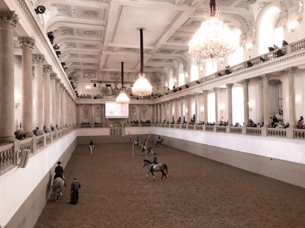 Things to do in Vienna - Spanish Riding School