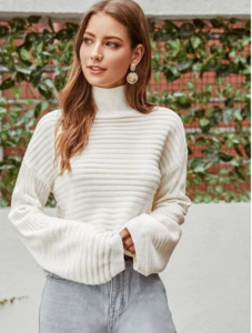 SHEIN _ Cream High Neck Jumper