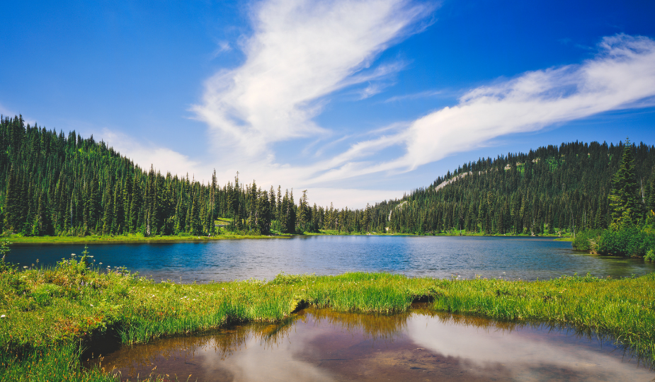 Mount Rainier National Park