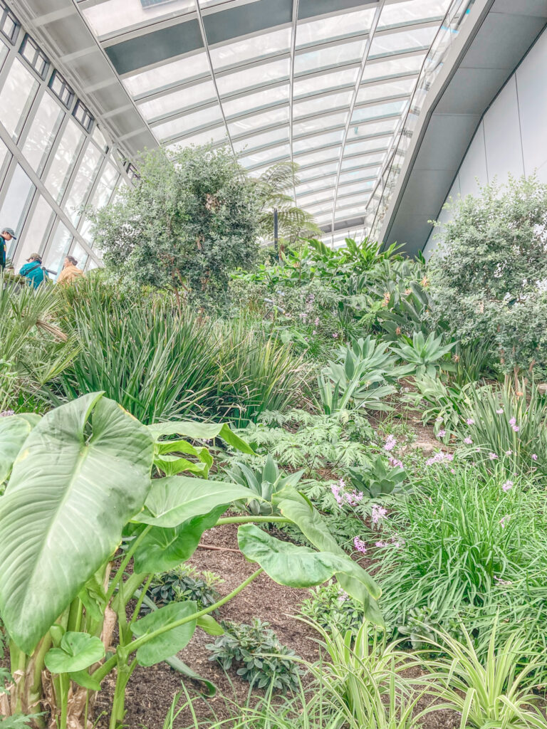 Inside The Sky Garden