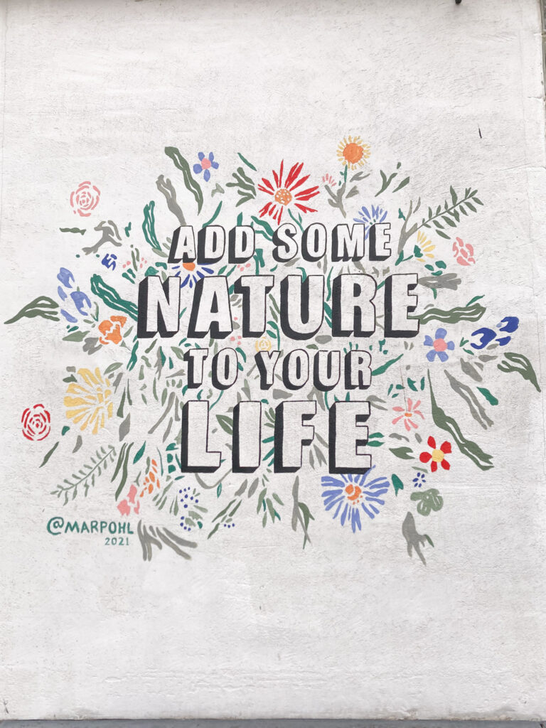 Pretty Nature inspired mural in Deep Ellum, Texas