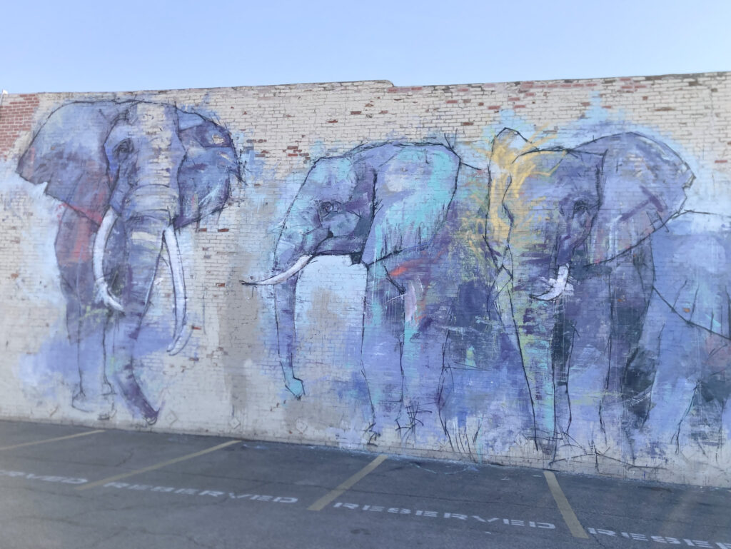 Heard of Elephants, one of the best Murals in Dallas to see.
