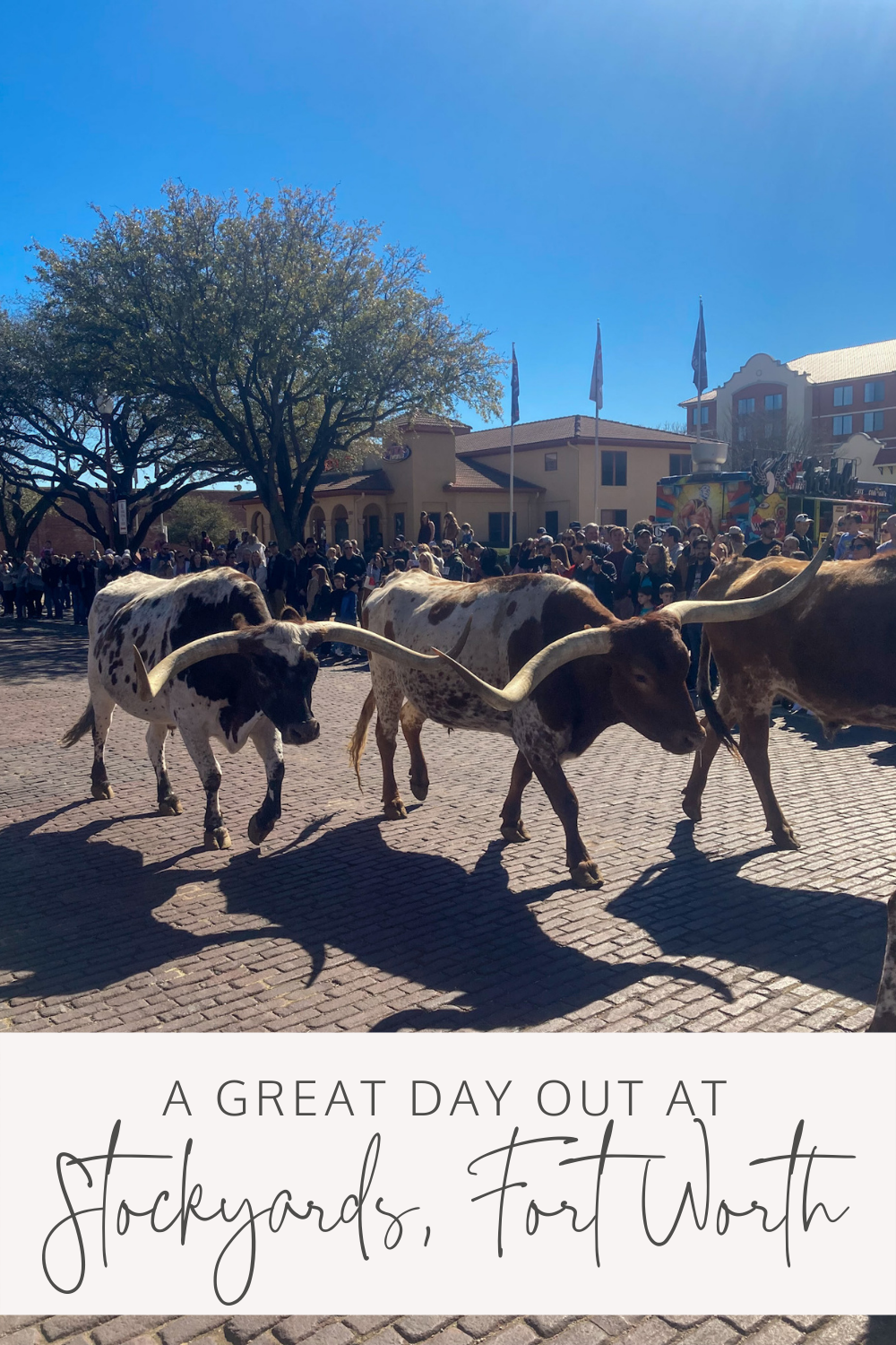 Stockyards Fort Worth