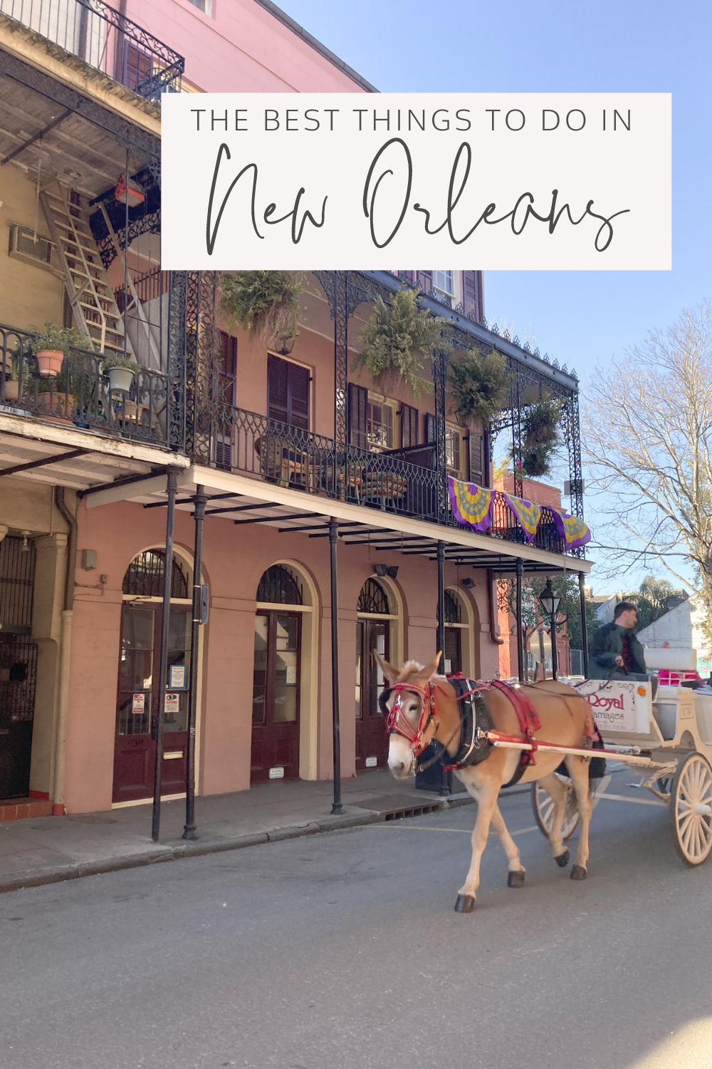 The Best Things to do in New Orleans