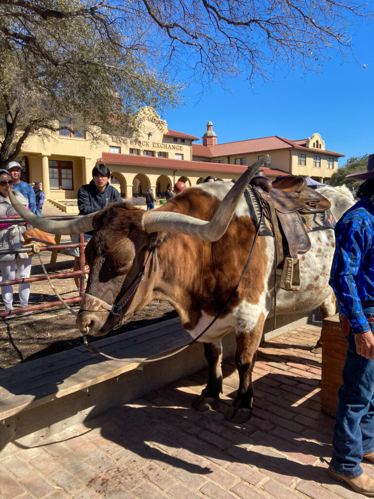 Stockyards - Longhorn