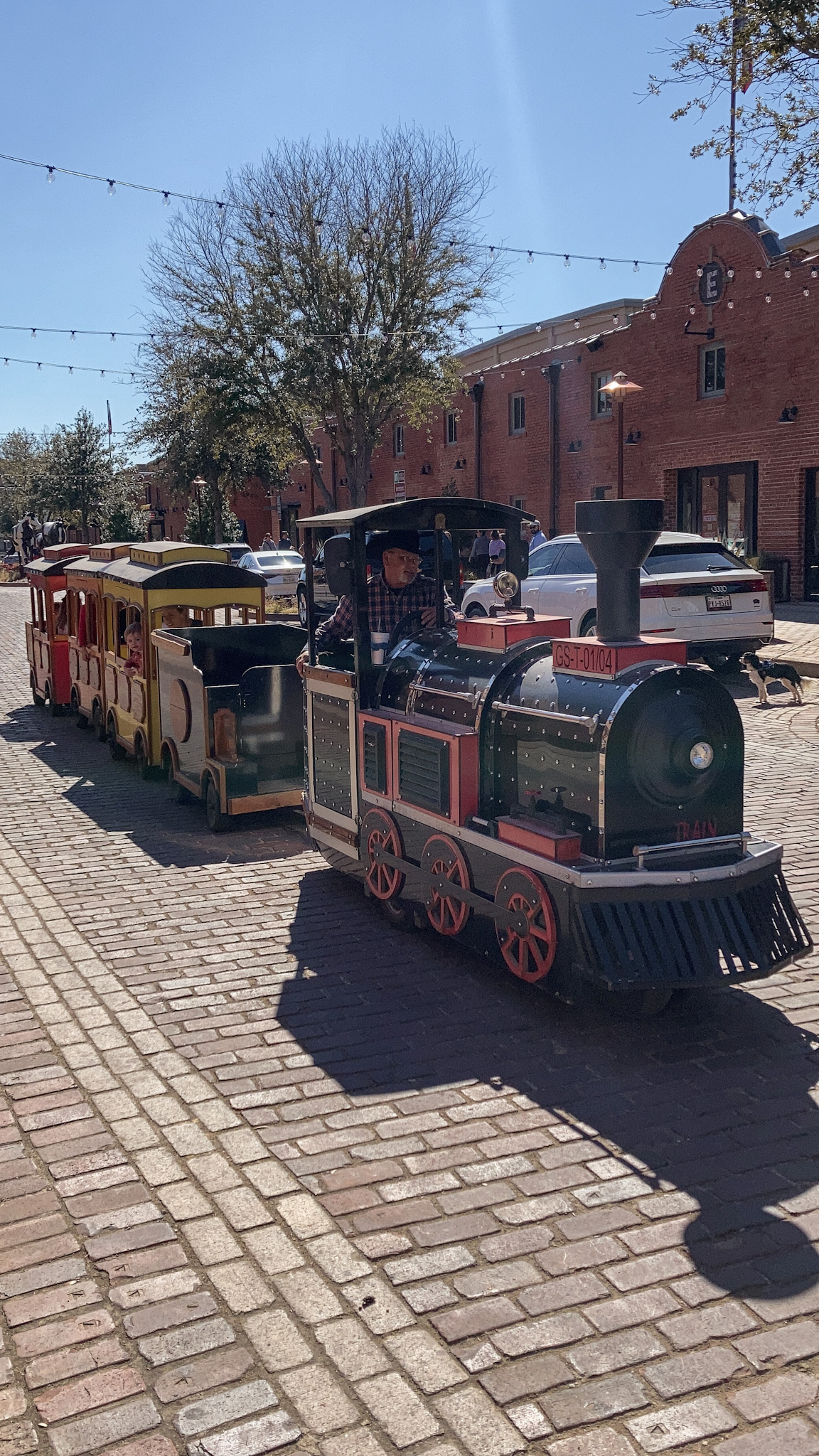 Stockyards - Train