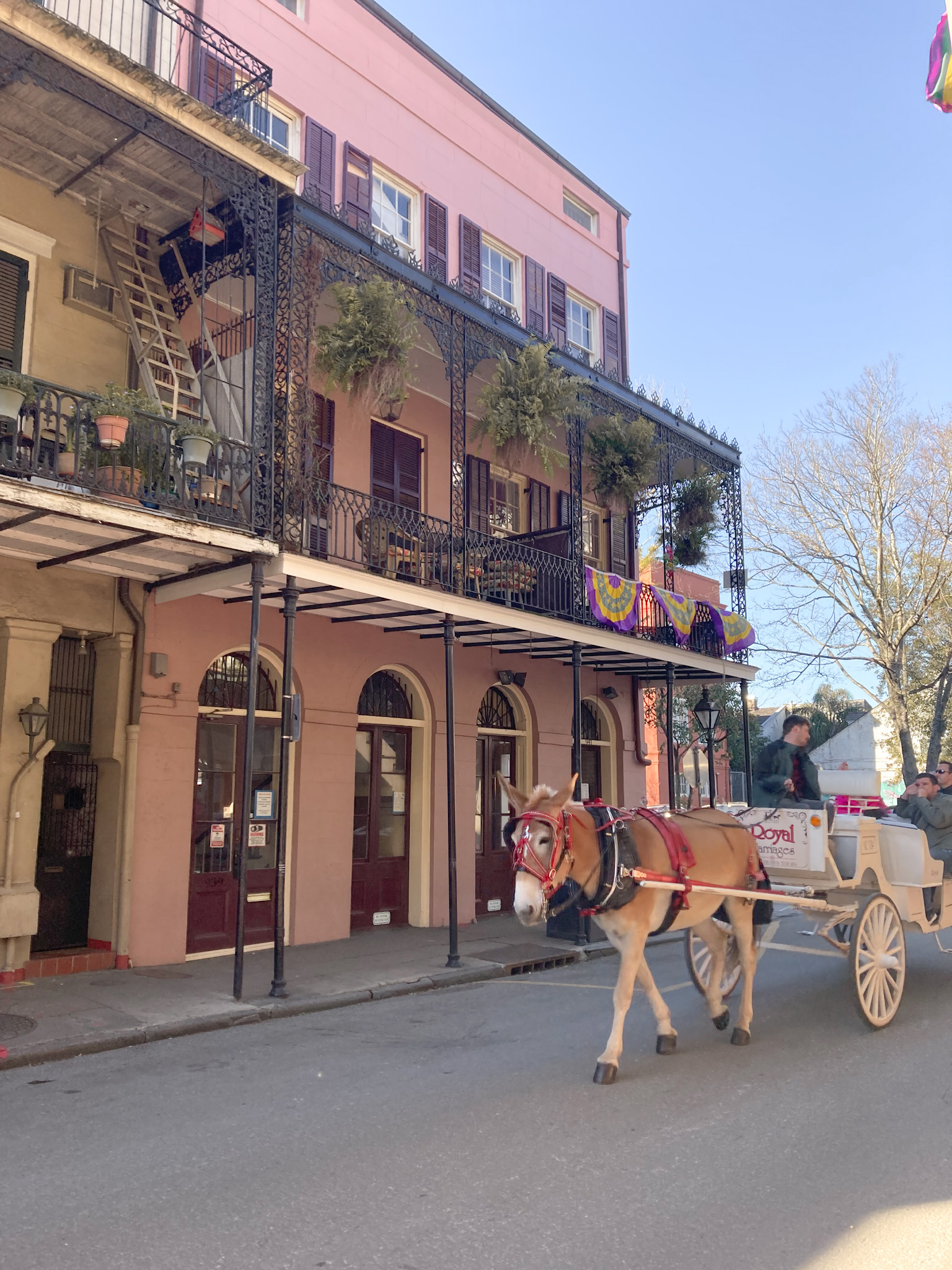 French Quarter