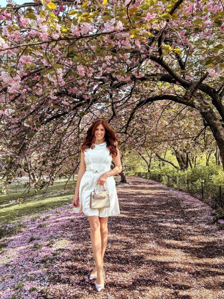 Beautiful walkway of cherry blossoms in central park on the West Side of the Jaqueline Kennedy Onassis Reservoir.