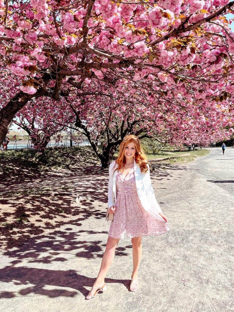 wheres the best place to see cherry blossom in Central Park? The reservoir is a perfect location.  