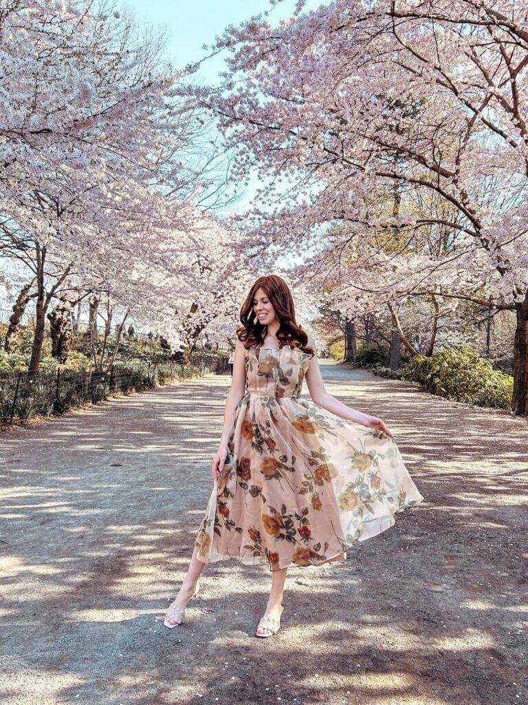 Cherry Blossoms on the Bridal path on the East Side of the reservoir. 