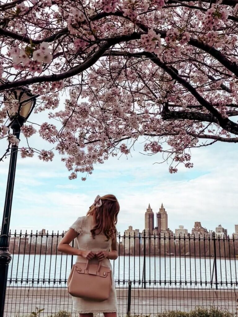 View of the Jaqueline Kennedy Onassis reservoir, framed by beautiful blooms. 