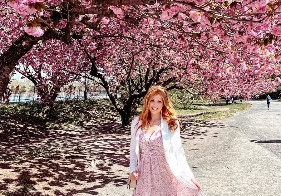 Where to see cherry blossom in Central Park