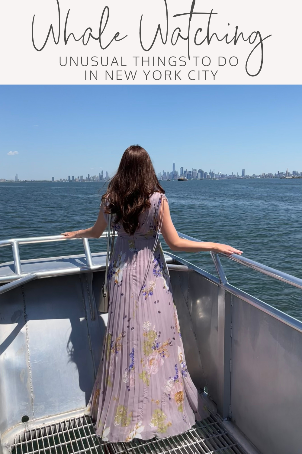 whale watching from New York City - Unusual things to do in New York