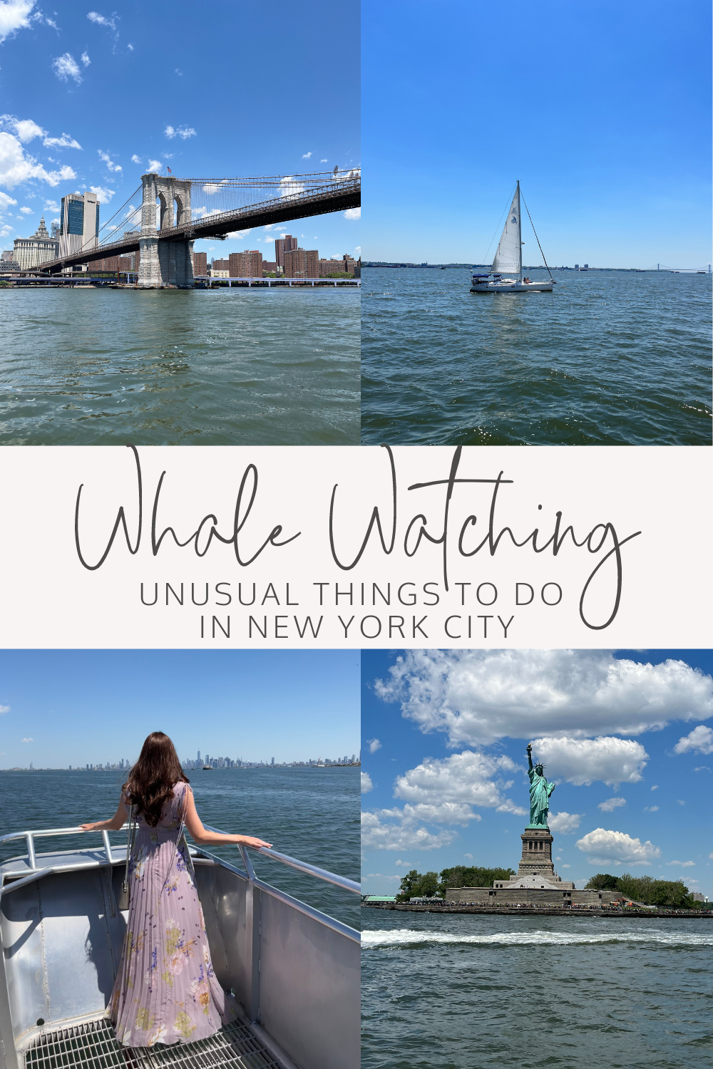 whale watching from New York City - Unusual things to do in New York