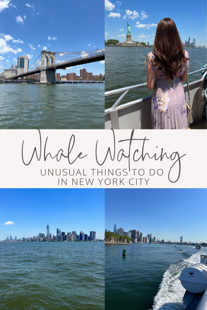 whale watching from New York City - Unusual things to do in New York