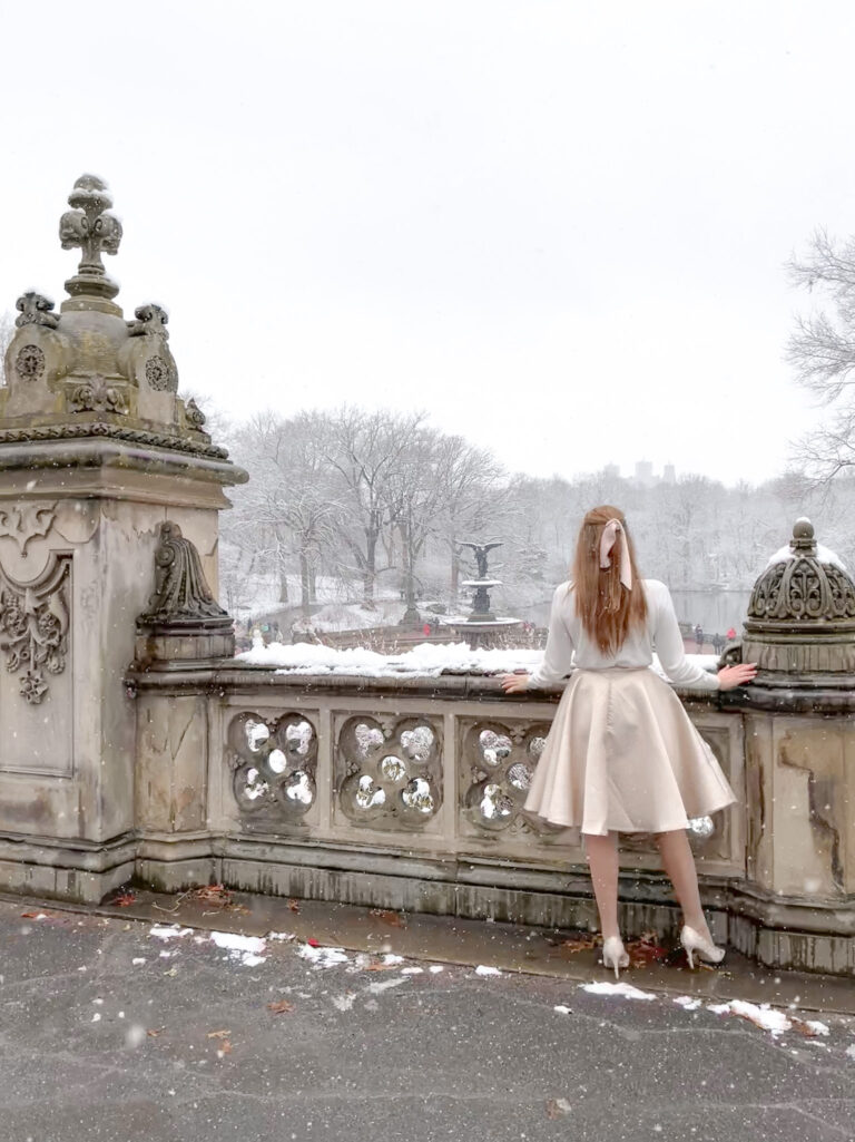 Central Park in the Snow