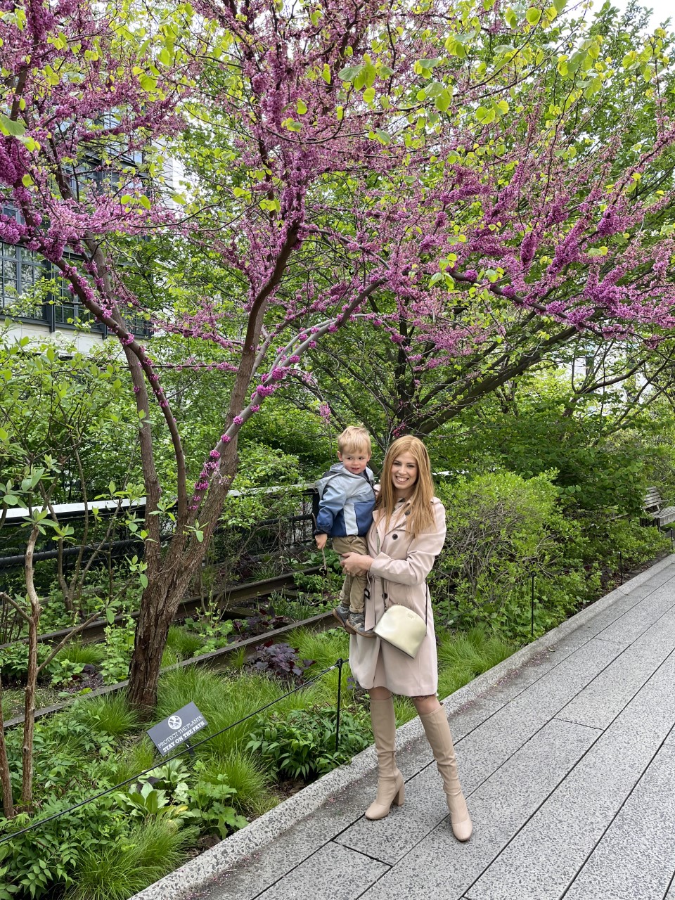 The High Line in Spring