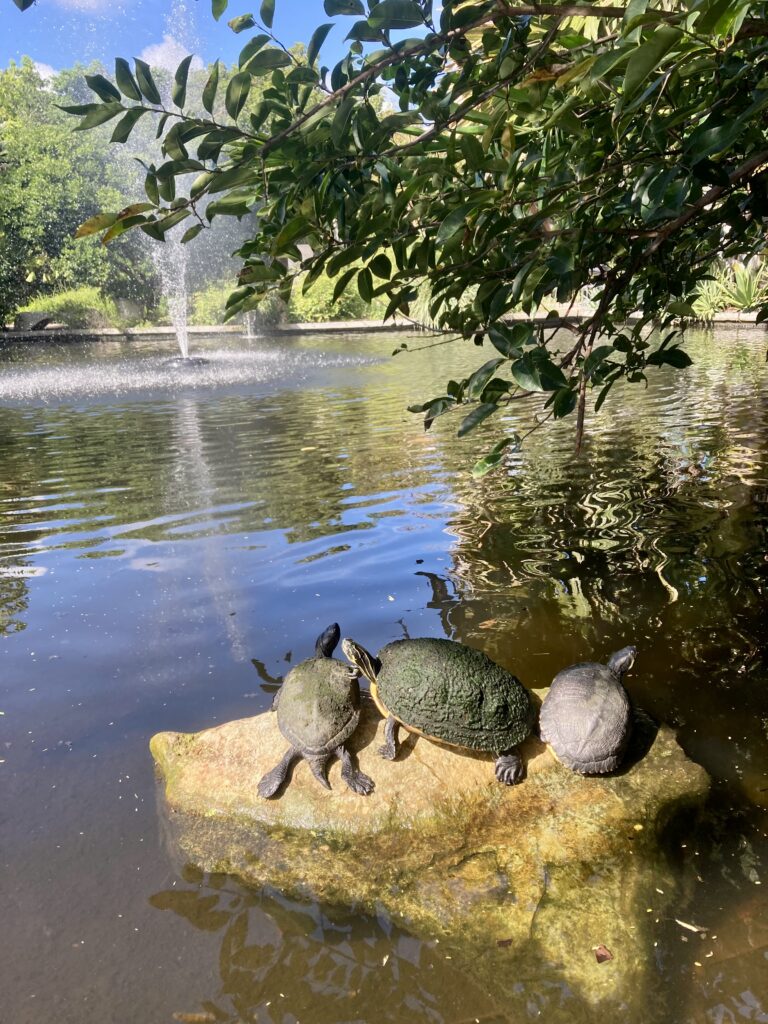 Miami Botanical Gardens