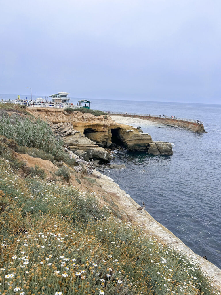 La Jolla, San Diego