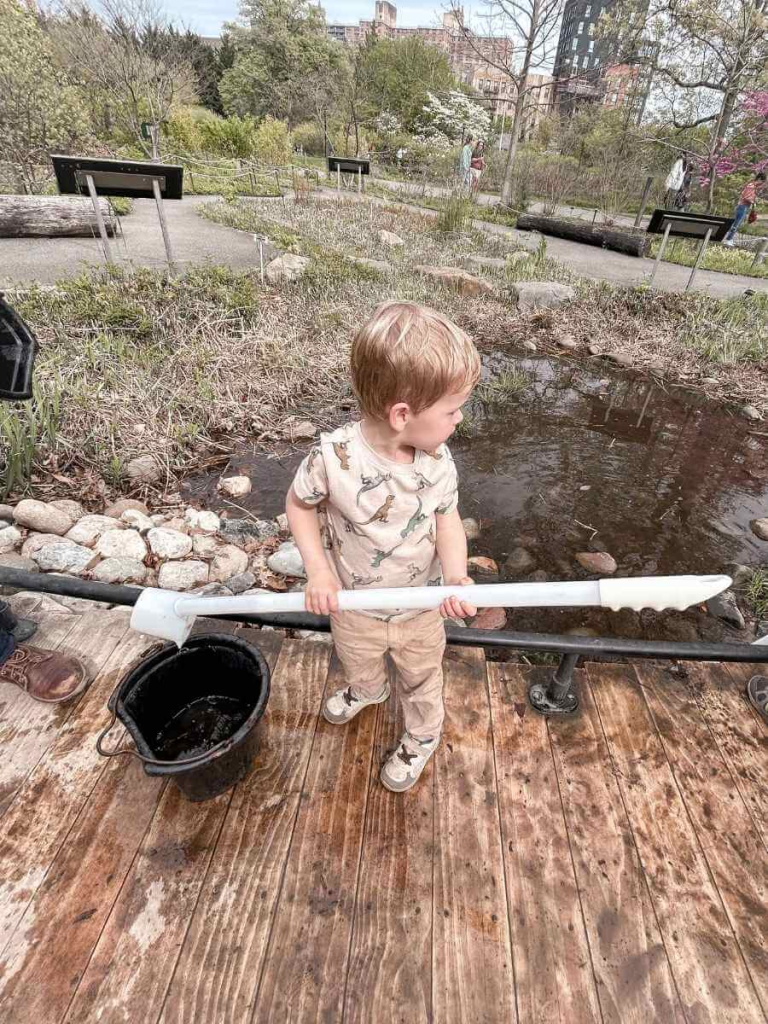 The dipping pond at the Discovery Garden, a perfect spot at the Brooklyn Botanic Garden with kids.