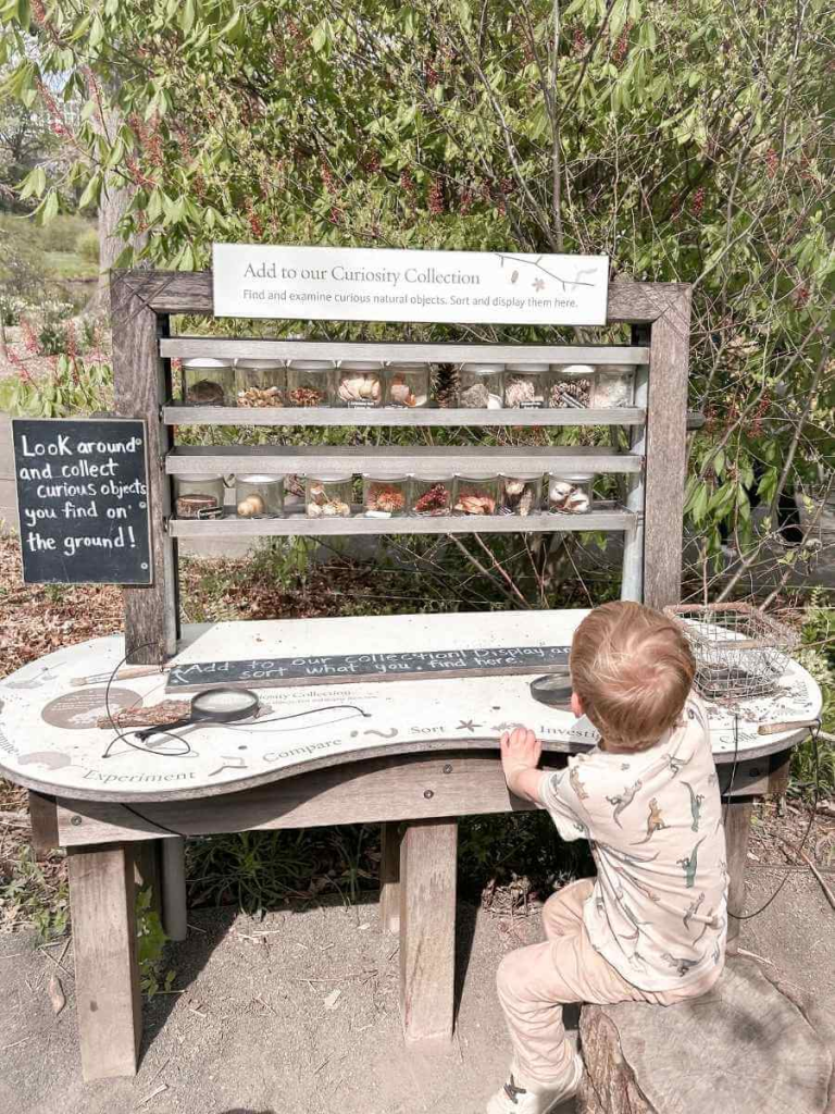Child playing at a sensory activity table in the Discovery Garden at Brooklyn Botanic Garden