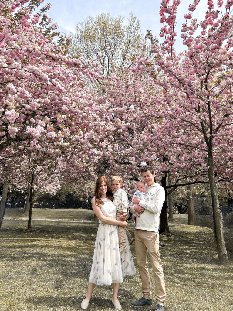 Brooklyn Botanic Garden Cherry Blossom