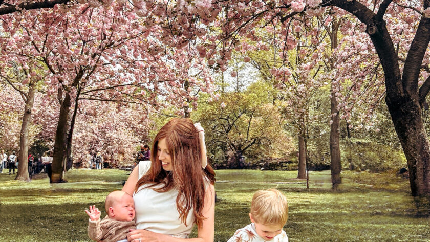 Brooklyn Botanic Garden Cherry Blossom