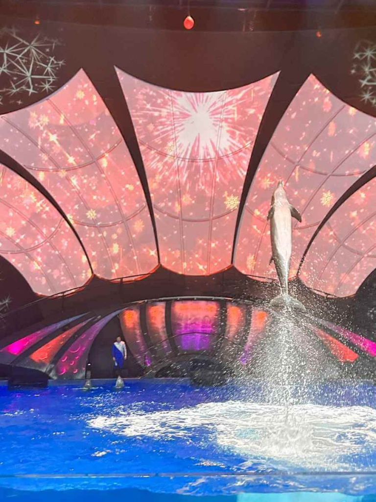 Exciting dolphin show at the Georgia Aquarium, a top Atlanta attraction for kids.