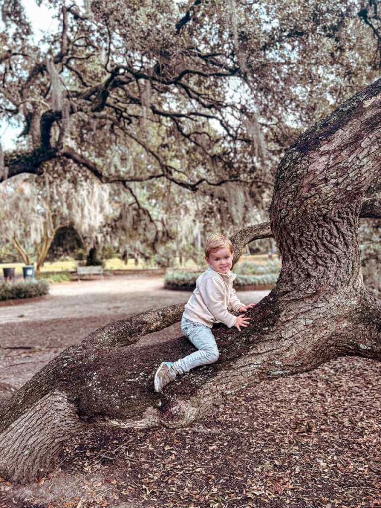One of the best things to do in Charleston SC with kids: climb trees in Hampton Park