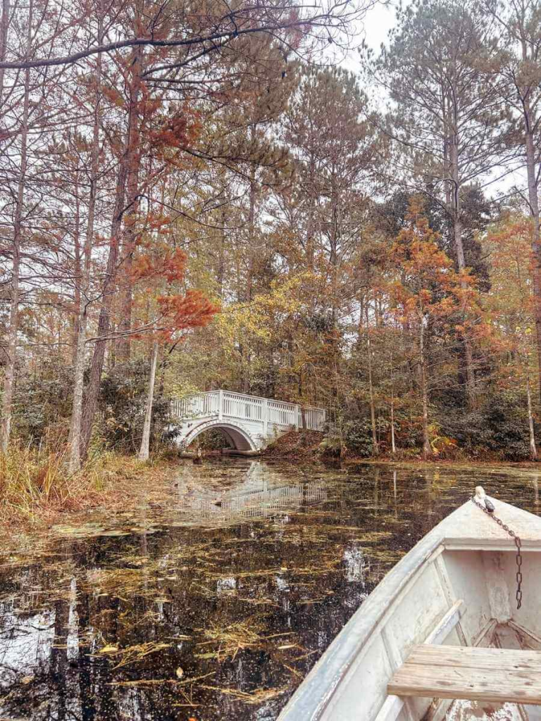 Scenery from our boat trip in Cypress Gardens, a filming location from The Notebook..