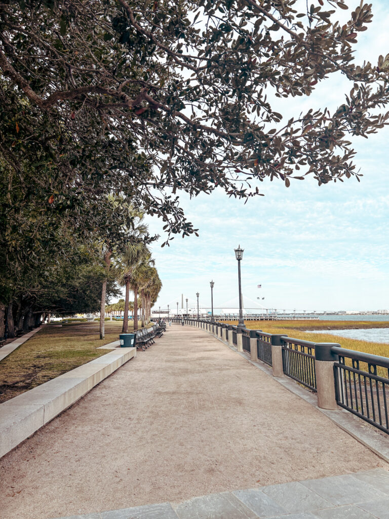 Waterfront Park Pier Charleston