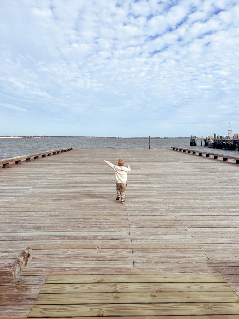 Waterfront Park Pier Charleston