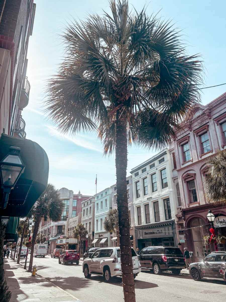 The palm tree lined streets of King Street in Charleston.