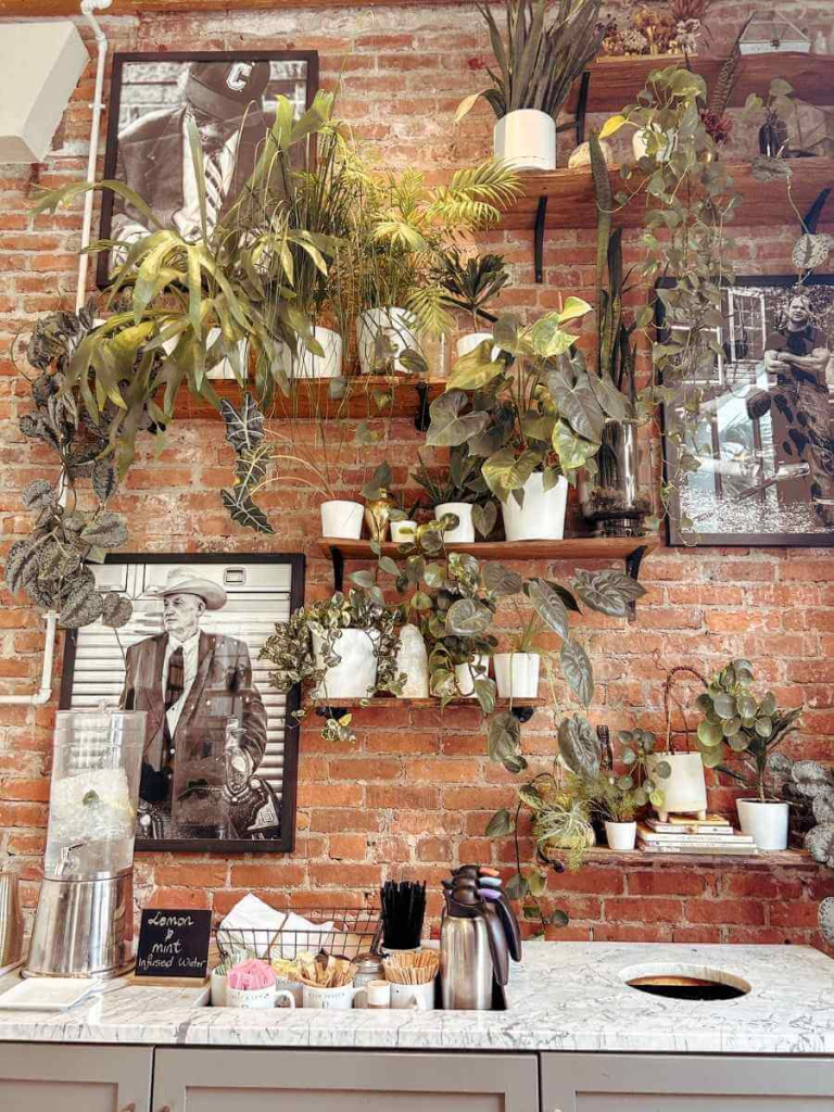 Rise Coffee Shop Charleston. A cute cafe in the heart of Charleston.