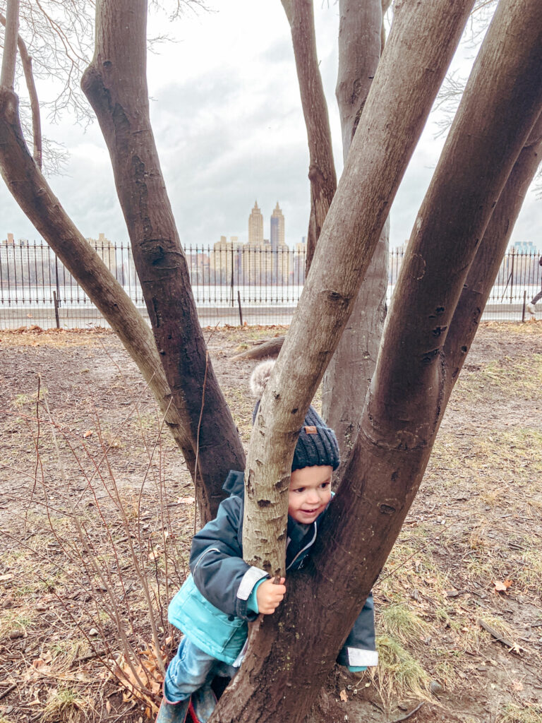 Central Park Reservoir