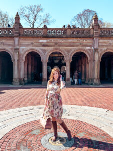 Bethesda Terrace