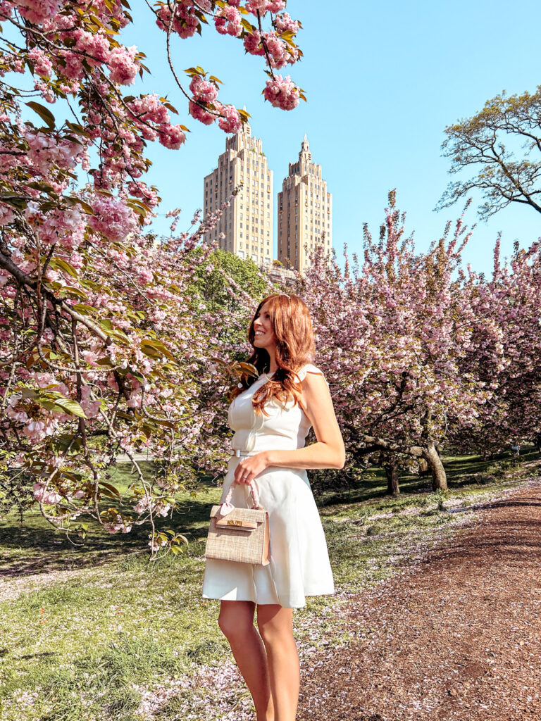 Central Park Reservoir