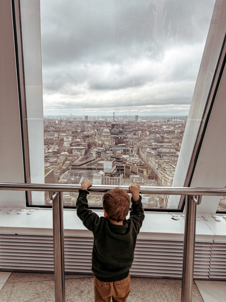 Sky Garden Views