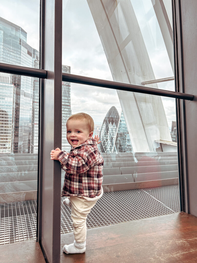 Sky Garden Views