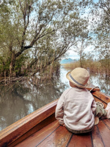 Shkodra Lake Boat Tour