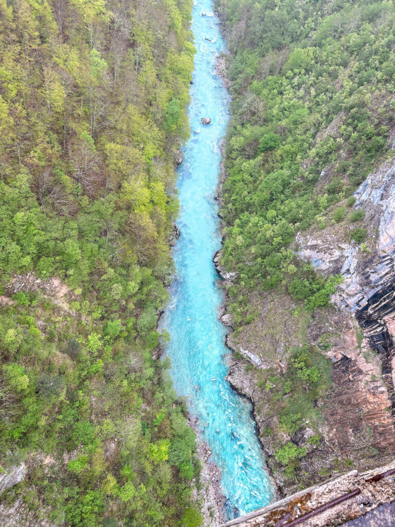 The Tara River Montenegro