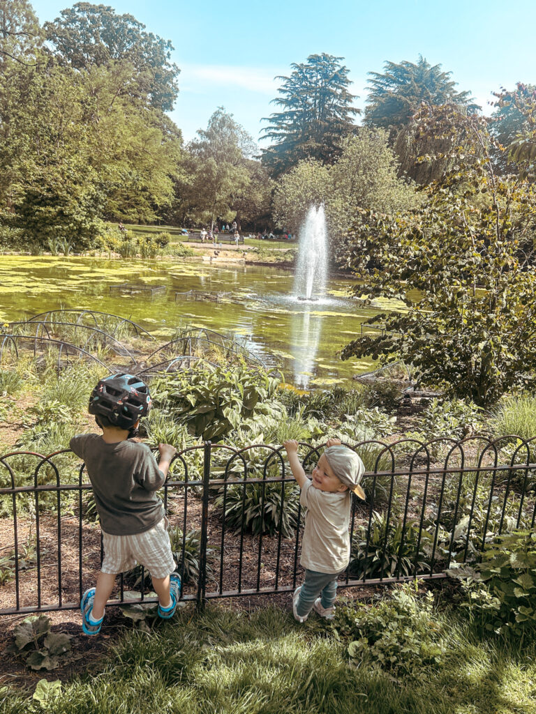 Greenwich Park Pond