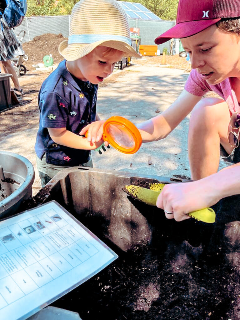 The Urban Farm