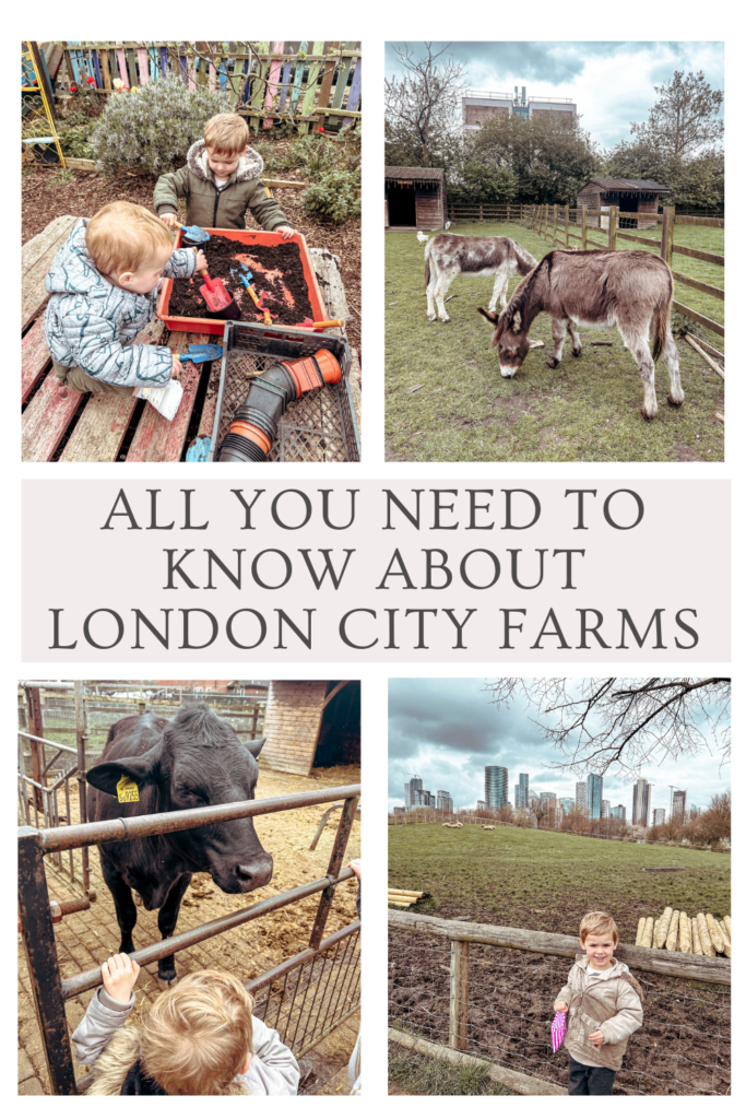 London City farms guide for families