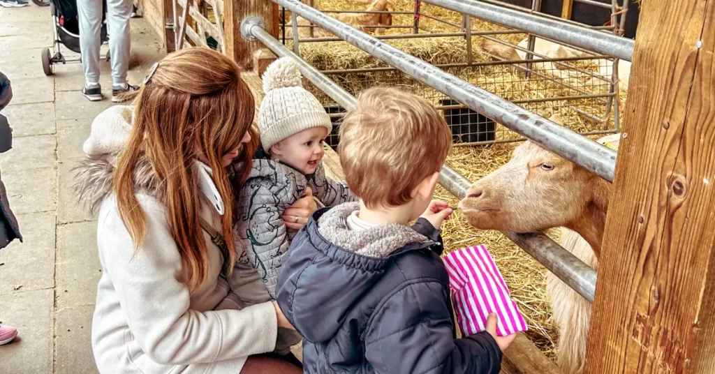 Guide to the City Farms in London with kids