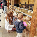 Mudchute City Farm