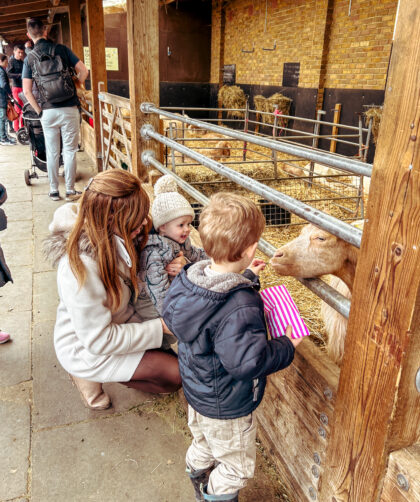 Mudchute City Farm