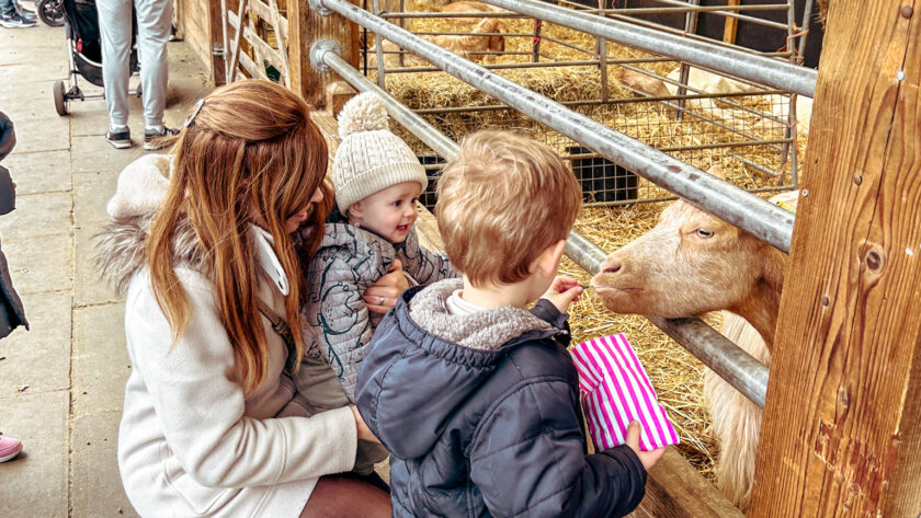 Mudchute City Farm