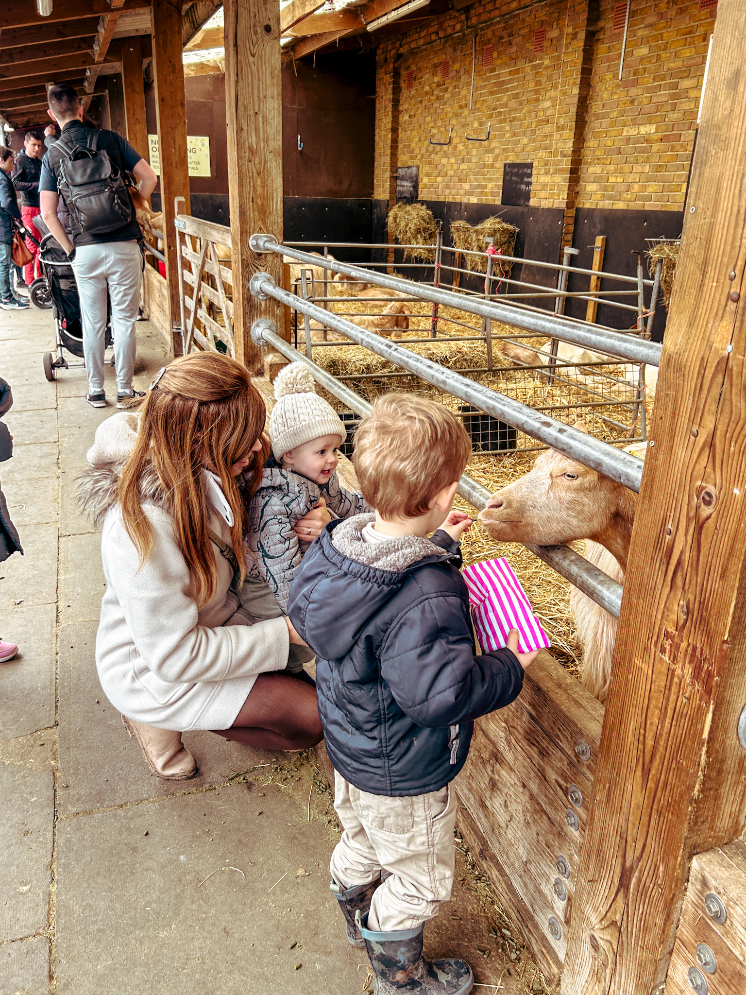 Mudchute City Farm