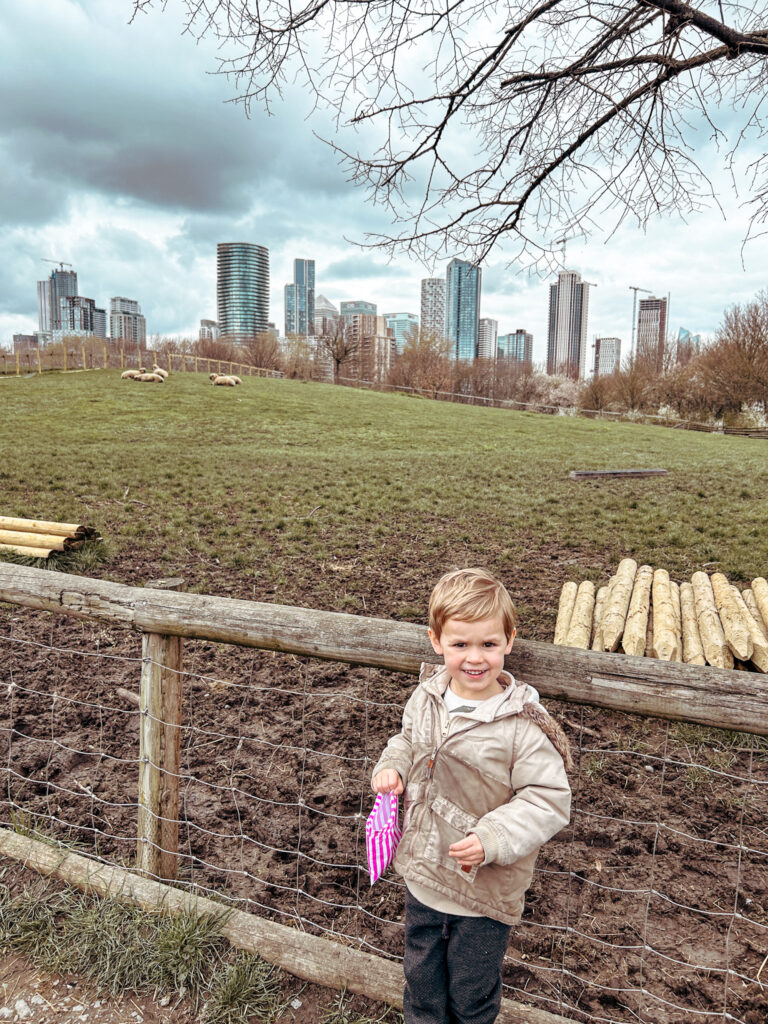 Mudchute City Farm